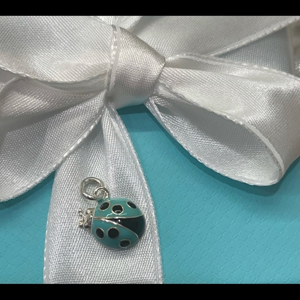Tiffany & Co Blue/Black Enamel Ladybug Charm🐞